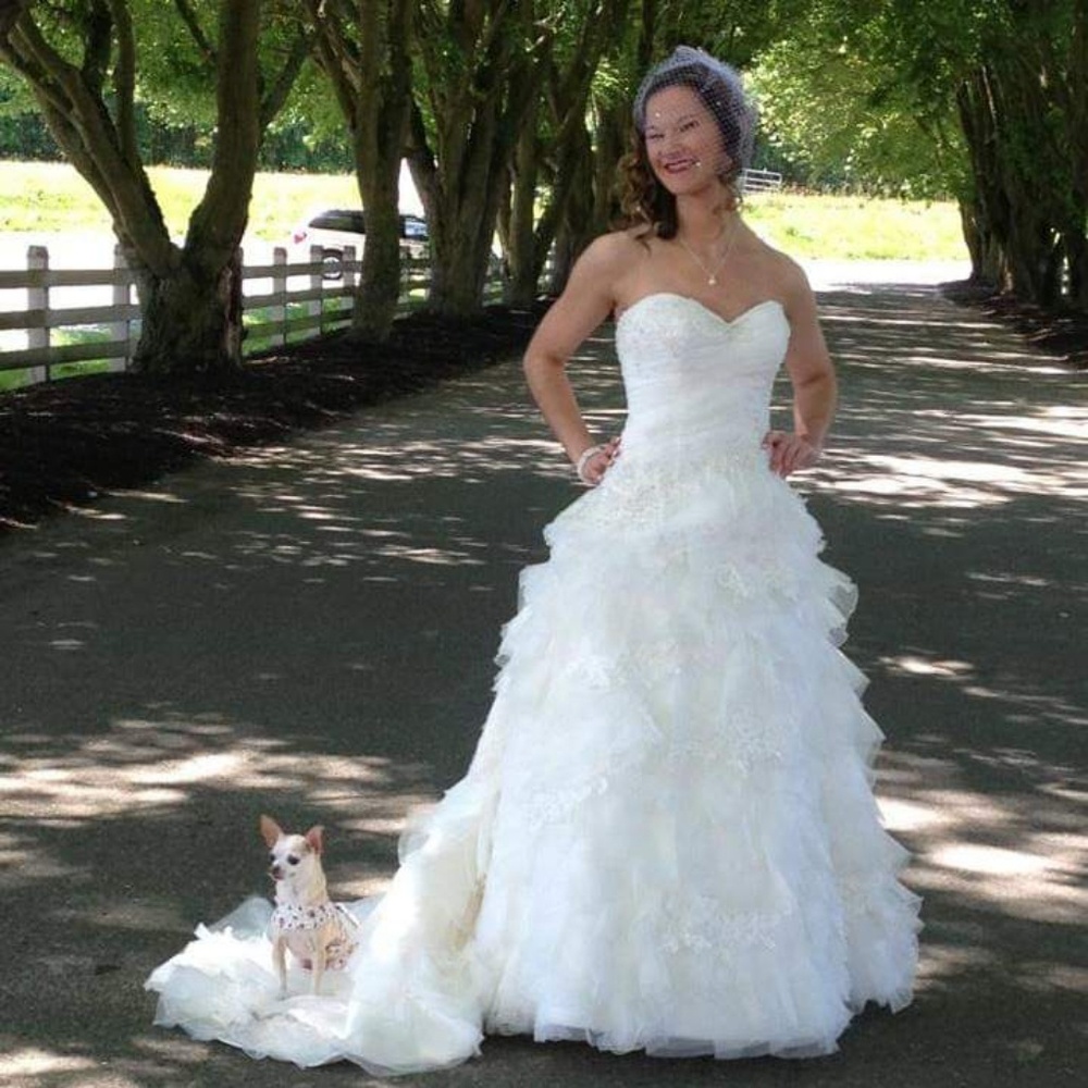 Meet your Posher, Misty